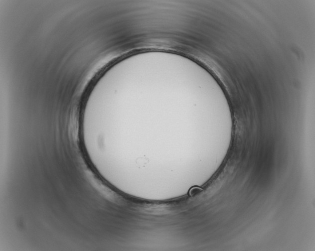 X0000113361131200910131255