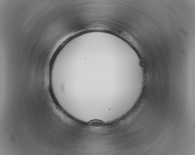 X0000113361132200910131255