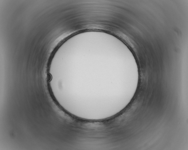 X0000113361133200910131255