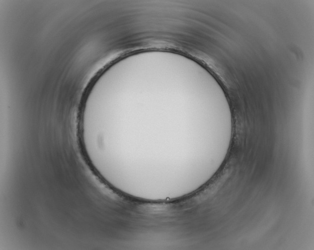 X0000113361134200910131255