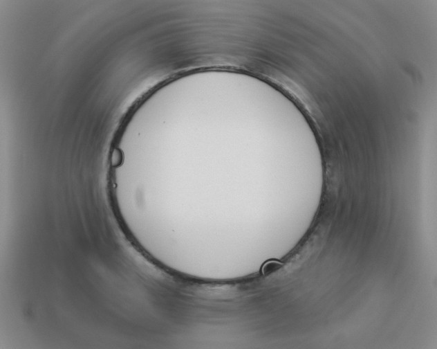 X0000113361135200910131255