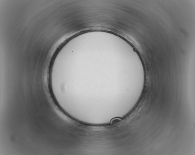 X0000113361136200910131255