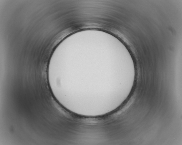 X0000113361137200910131255