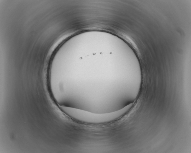 X0000113361138200910131255