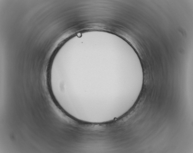 X0000113361139200910131255