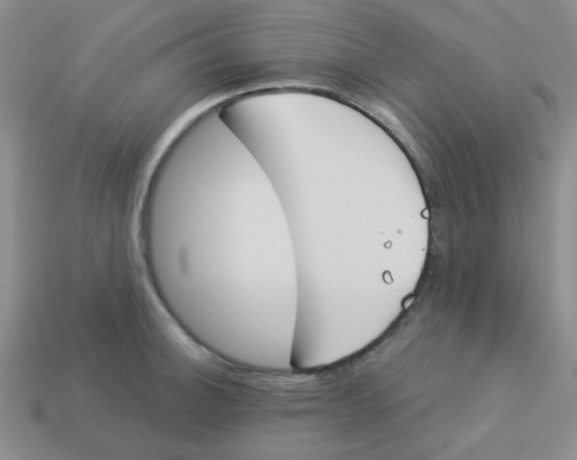 X0000113361140200910131255