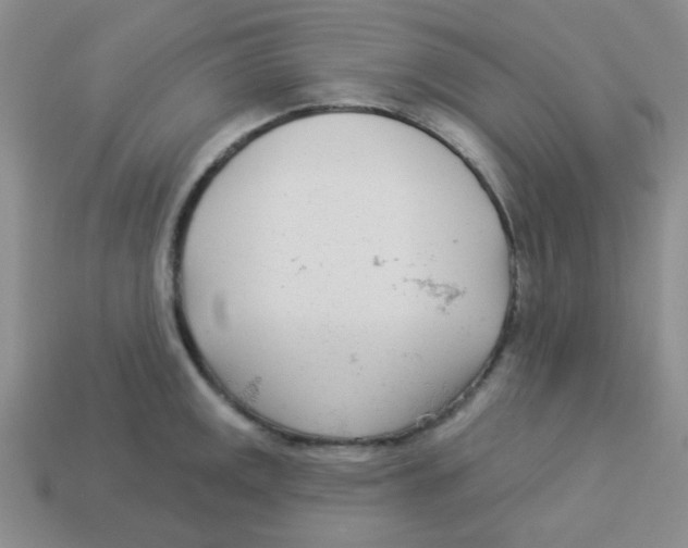 X0000113361141200910131255