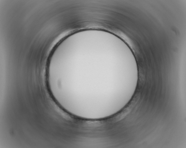 X0000113361142200910131255