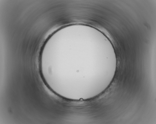 X0000113361143200910131255