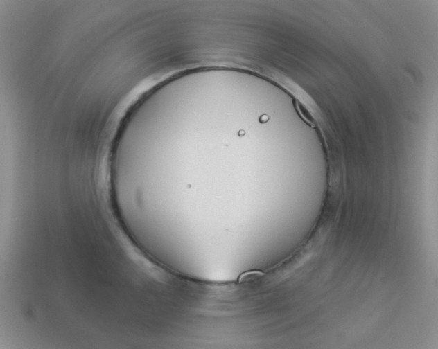 X0000113361144200910131255