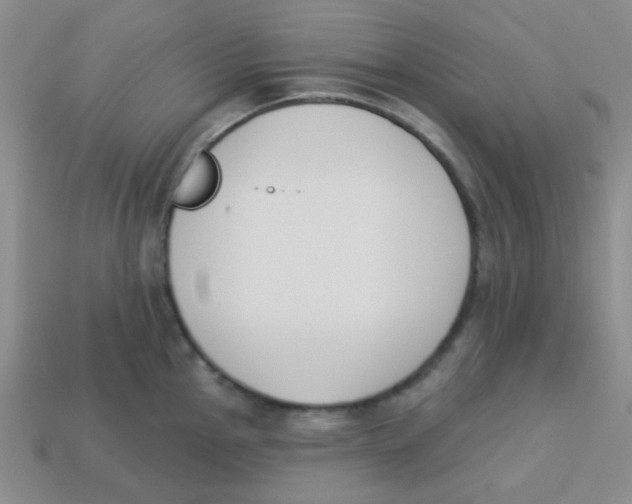 X0000113361145200910131255