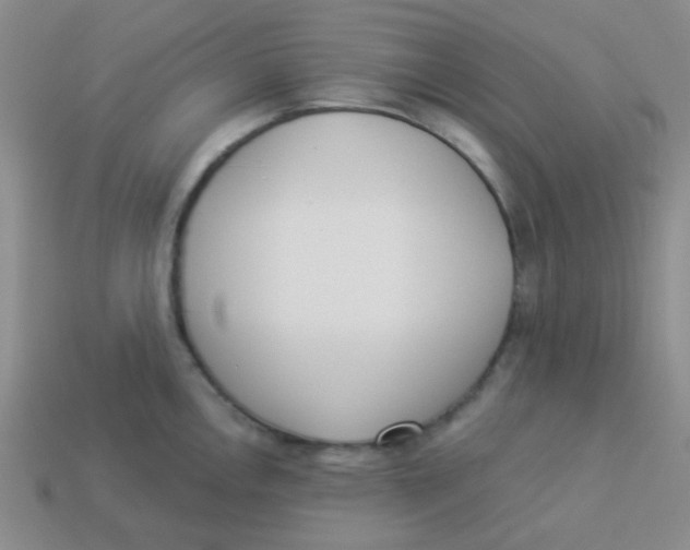 X0000113361146200910131255