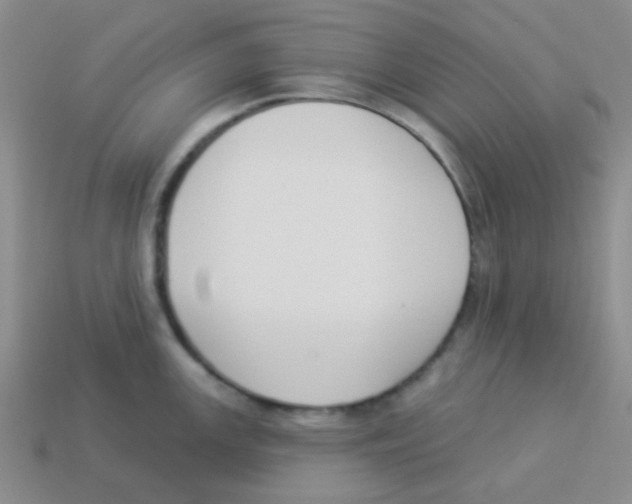 X0000113361147200910131255