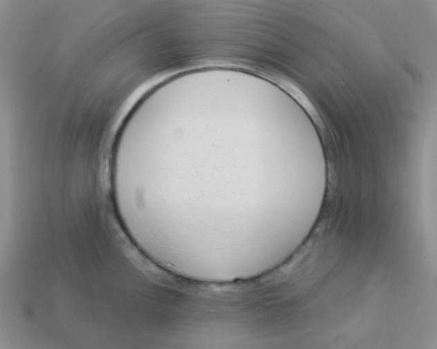 X0000113361148200910131255