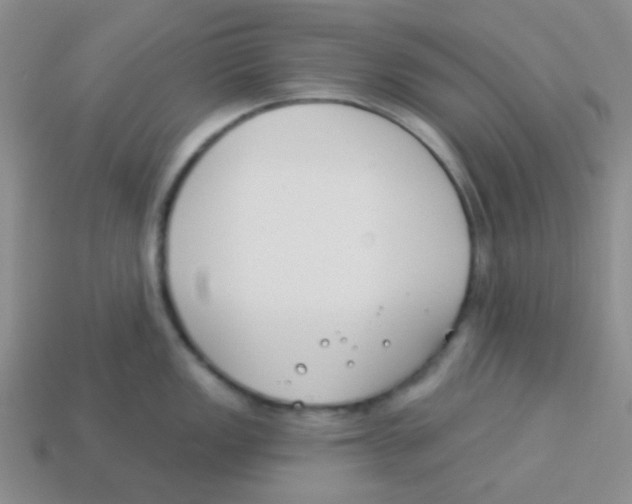 X0000113361149200910131255