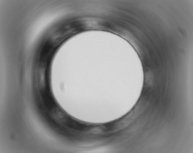 X0000113361150200910131255