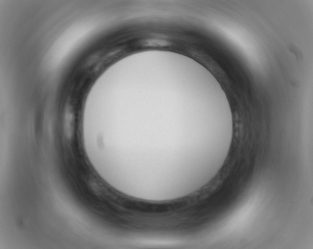 X0000113361151200910131255