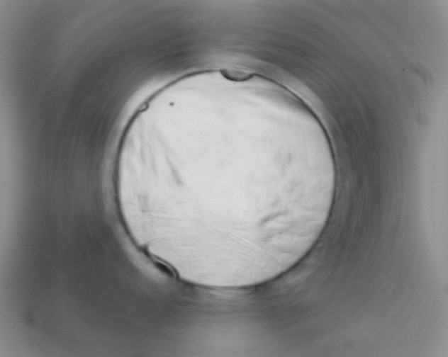 X0000113361152200910131255