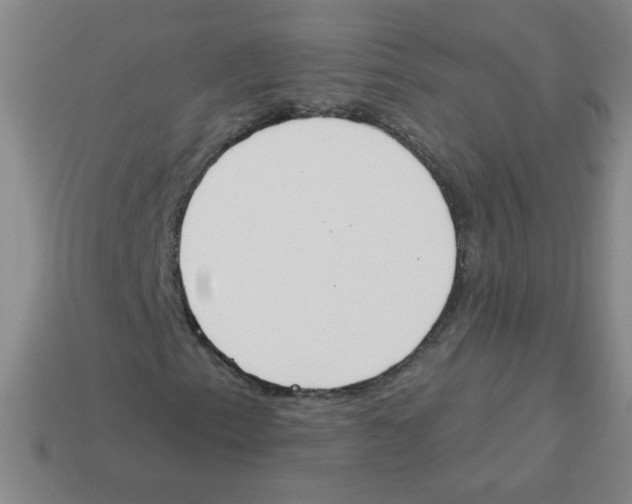 X0000113361153200910131254