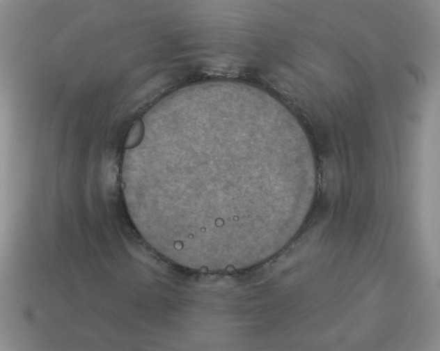 X0000113361154200910131254