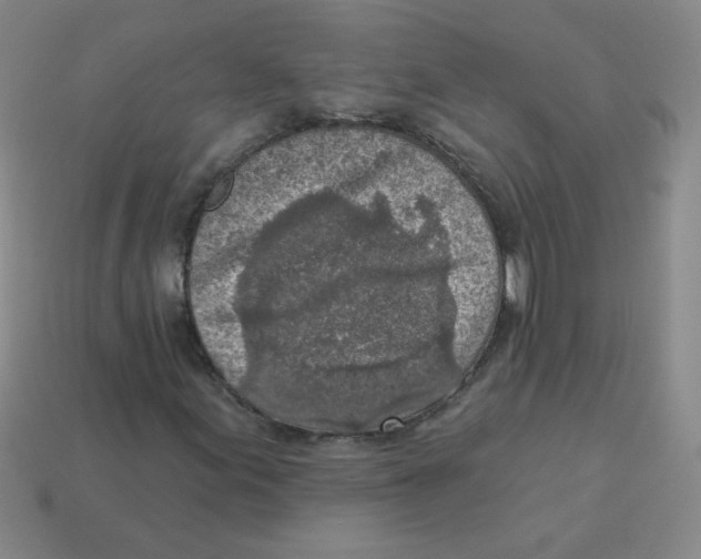 X0000113361155200910131254