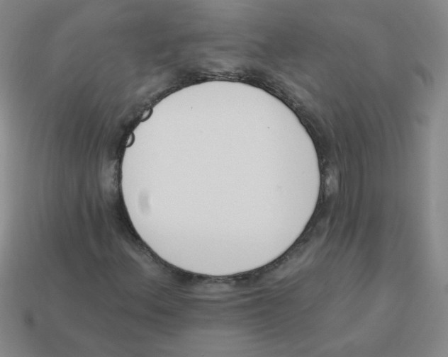 X0000113361156200910131254