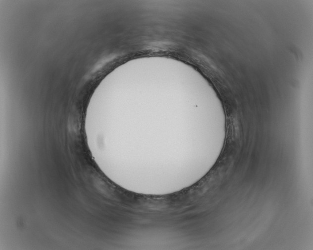 X0000113361158200910131254