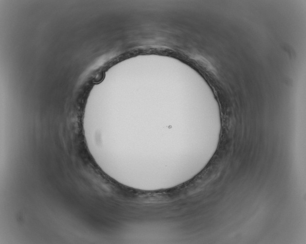 X0000113361159200910131254