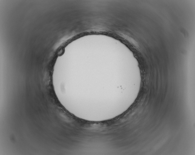 X0000113361160200910131254