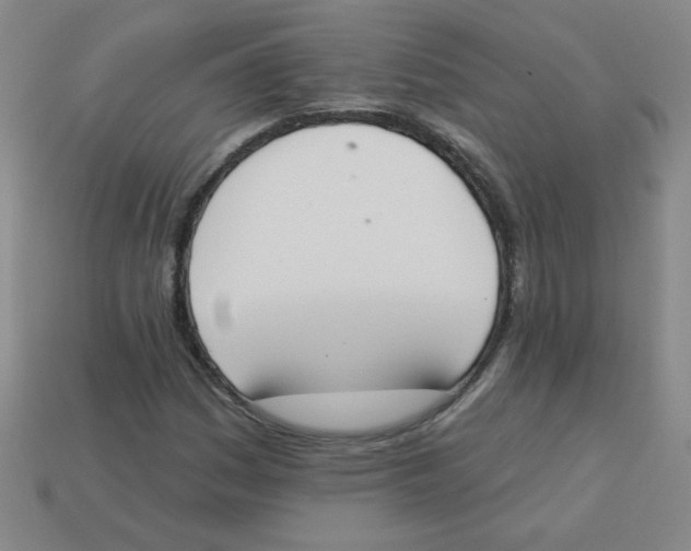 X0000113361161200910131254