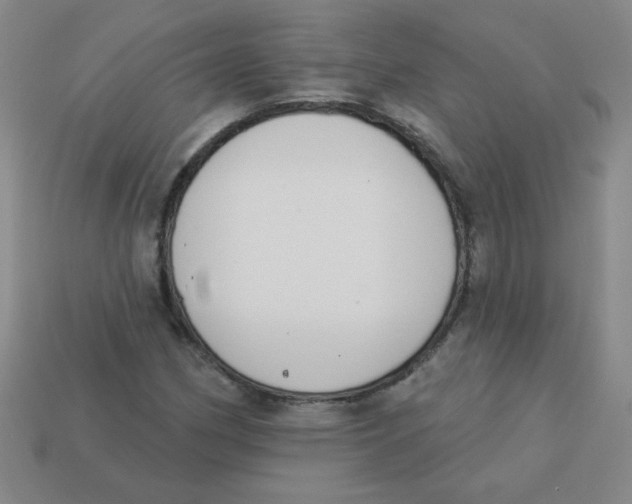 X0000113361162200910131254