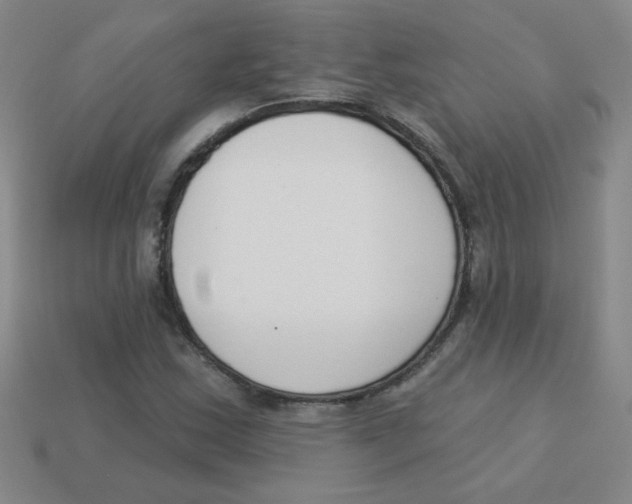 X0000113361163200910131254