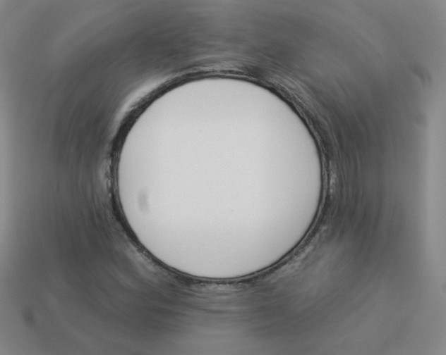 X0000113361164200910131254