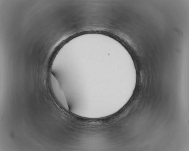 X0000113361165200910131254