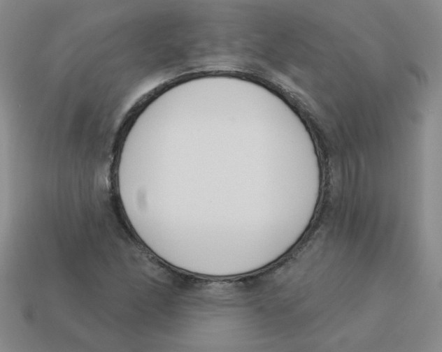 X0000113361166200910131254