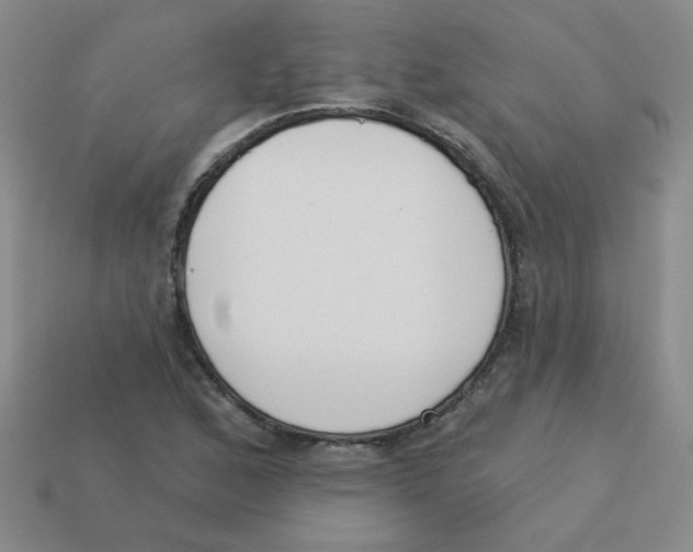 X0000113361168200910131254