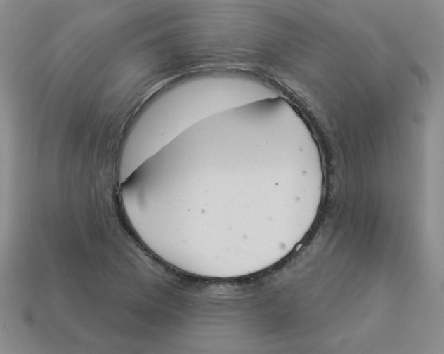 X0000113361169200910131254