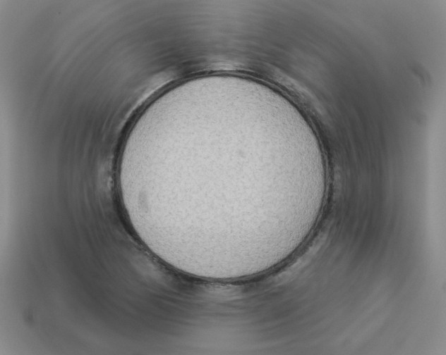 X0000113361170200910131254