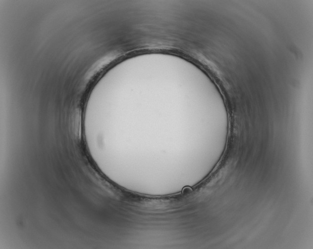 X0000113361171200910131254