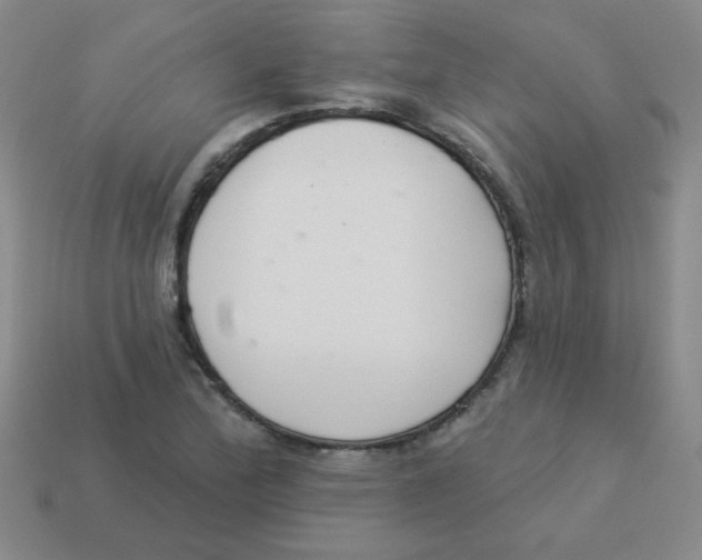 X0000113361172200910131254