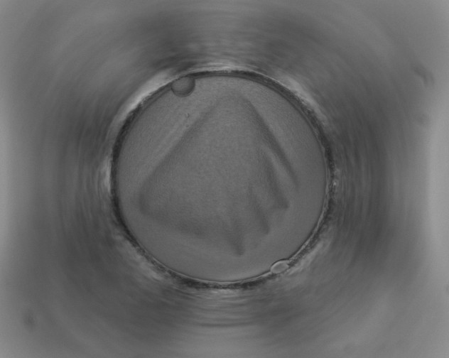 X0000113361173200910131254