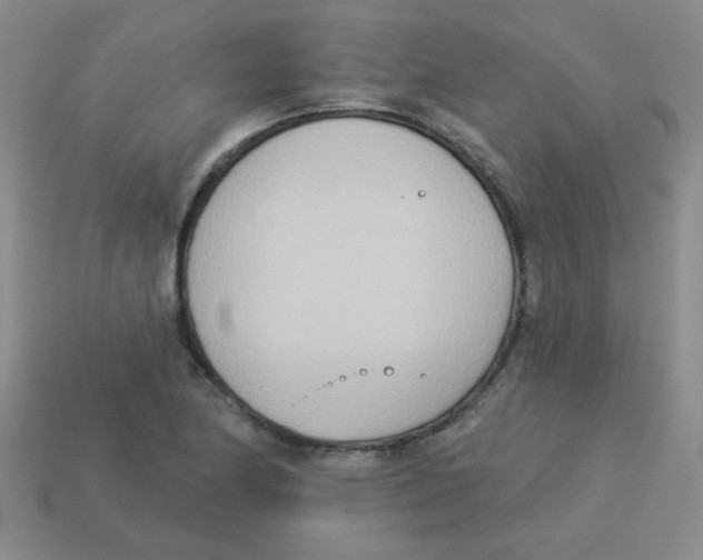 X0000113361174200910131254