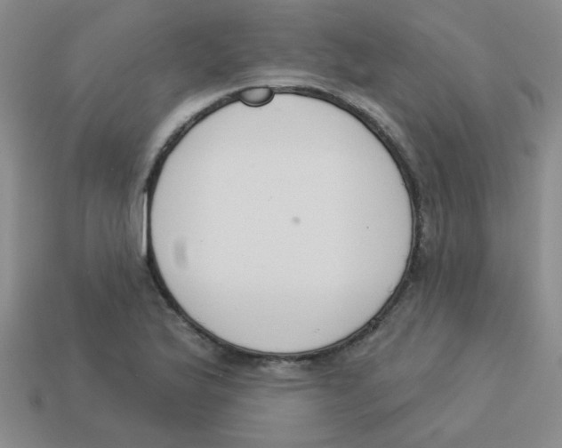 X0000113361175200910131254