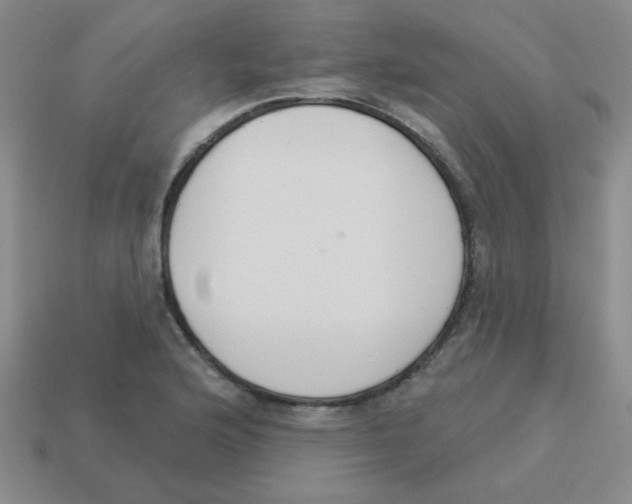 X0000113361176200910131254