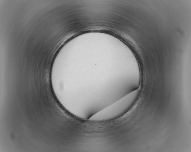 X0000113361177200910131254