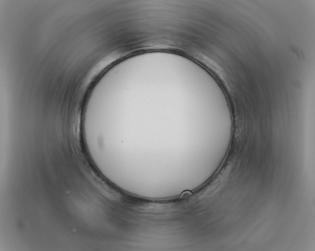 X0000113361179200910131254