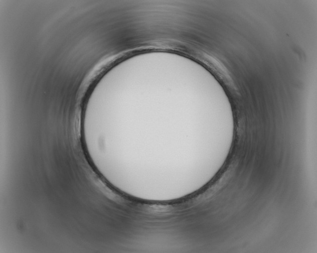 X0000113361180200910131254