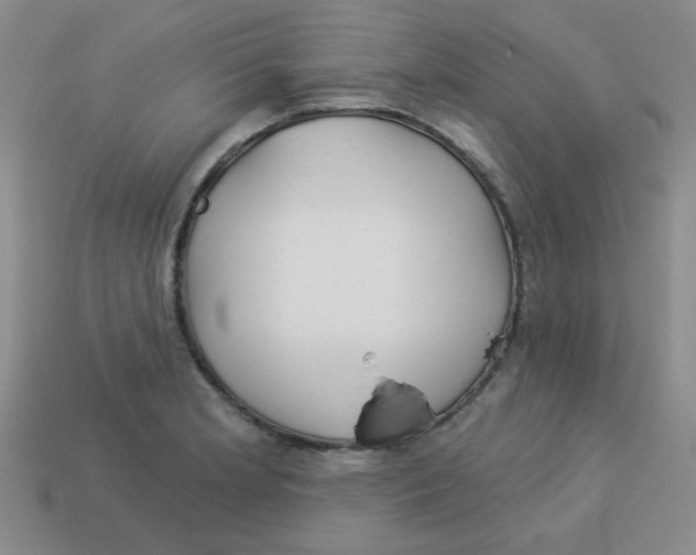 X0000113361181200910131254