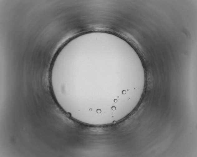 X0000113361182200910131254