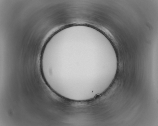 X0000113361183200910131254